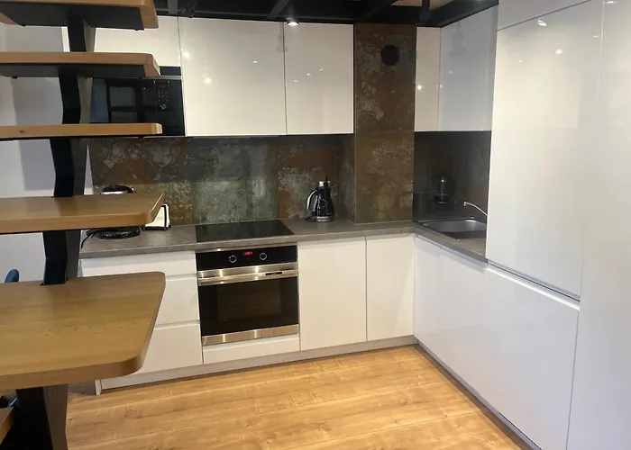 Apartamento Sienkiewicza Loft1 *