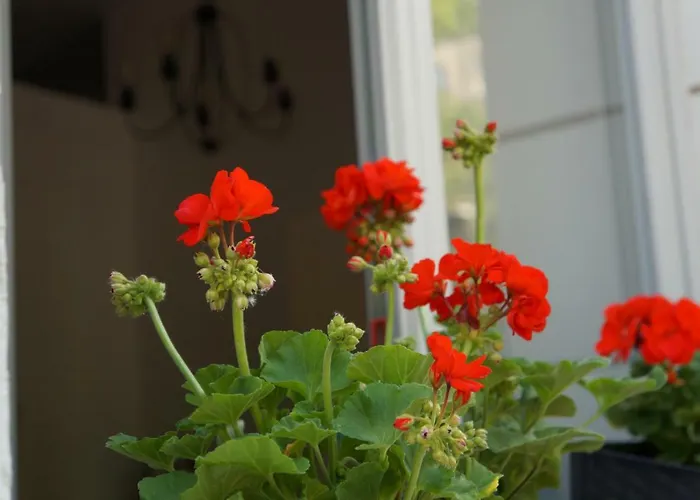 Sienkiewicza Loft1 Apartamento