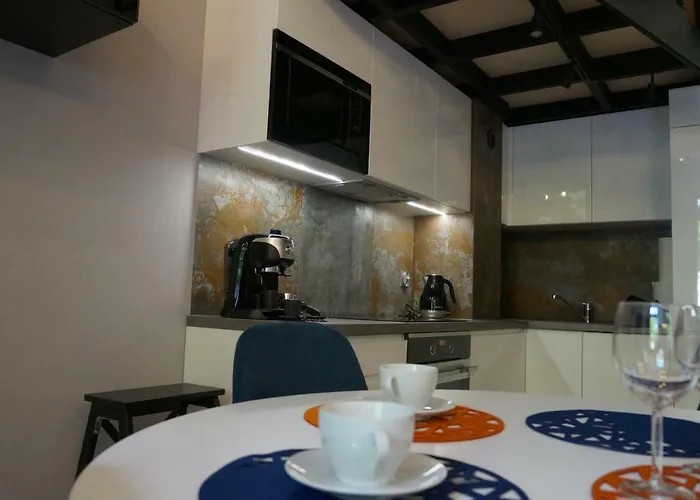 Apartamento Sienkiewicza Loft1 Łódź